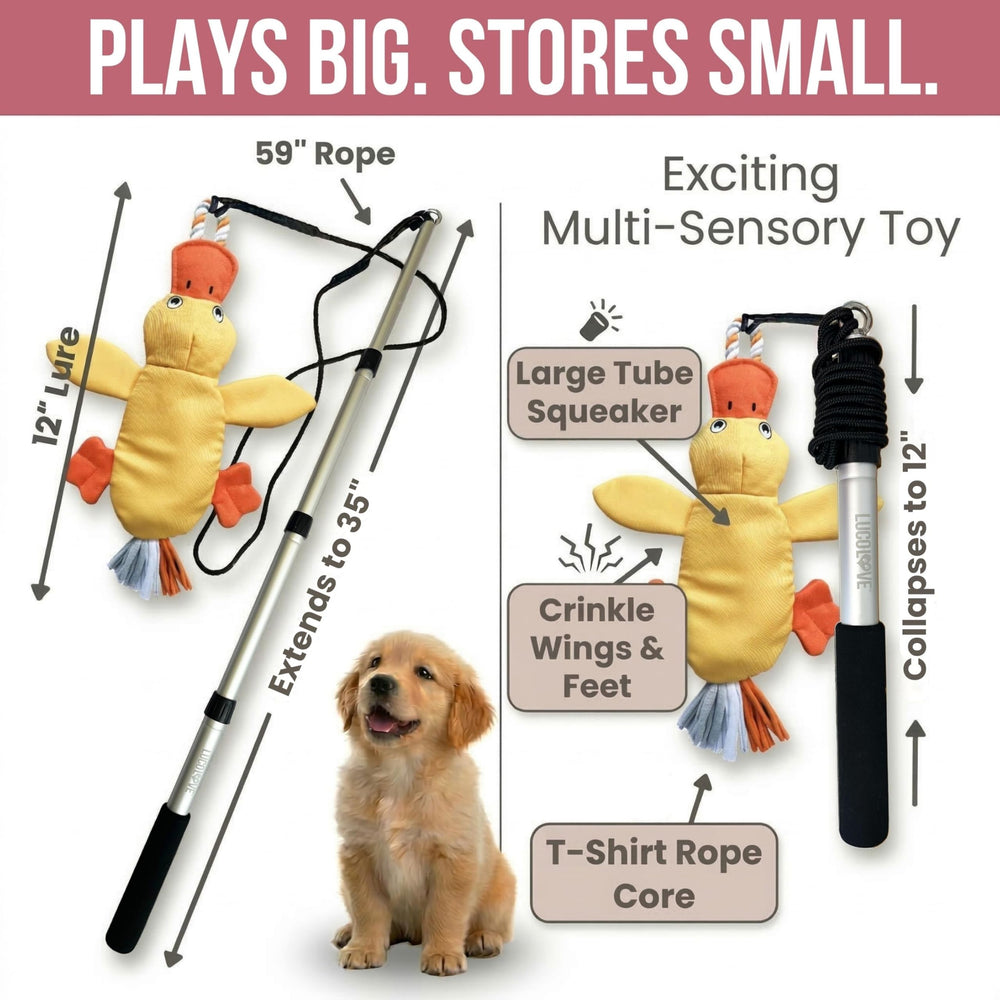 LUCOLOVE duck lure with squeaker enhances multi-sensory play.