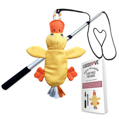 LUCOLOVE flirt pole with duck lure for dogs promotes active, supervised play.