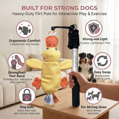 LUCOLOVE flirt pole with 59-inch non-stretch rope for safe distance.