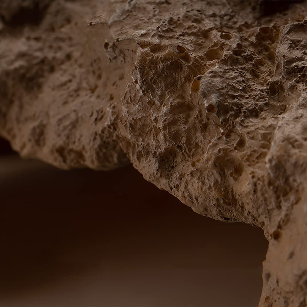 LUCOSIU decorative cave adds natural terrarium aesthetics and comfort.