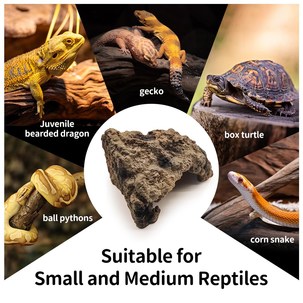 LUCOSIU easy-clean surface supports quick maintenance in terrariums.