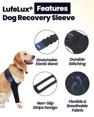 LufeLux breathable animal-friendly material enhances comfort during wear
