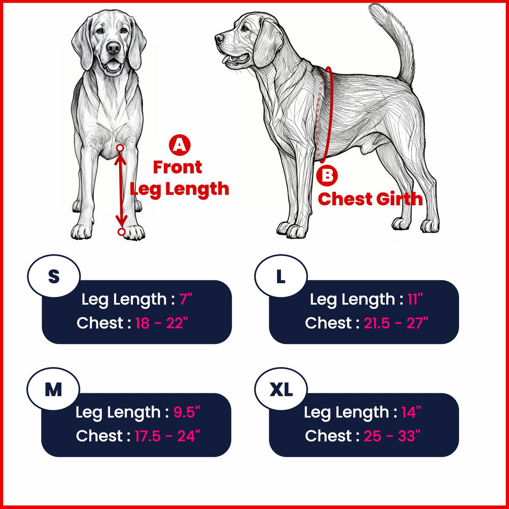 LufeLux protects the front leg from licking, aiding wound care