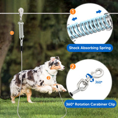 LUFFWELL 360 swivel clip prevents tangling while dogs explore.