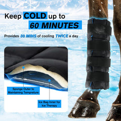 Product dimensions 17 by 16 inches covering the horse leg.