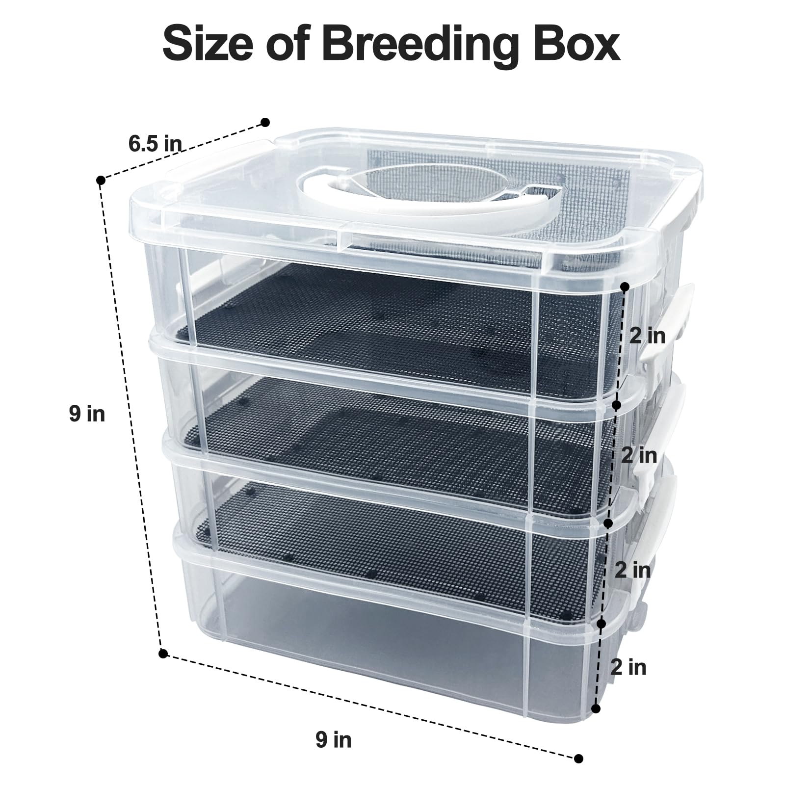 LUKHMELF four-layer mealworm farm design provides expanded feeding space.