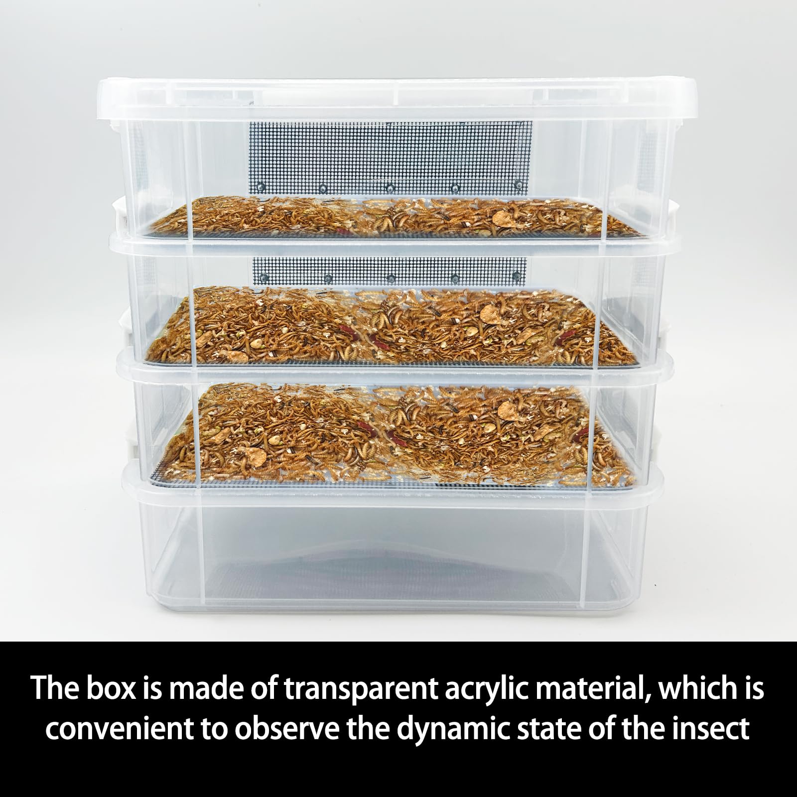LUKHMELF portable breeding container for easy indoor and outdoor use.
