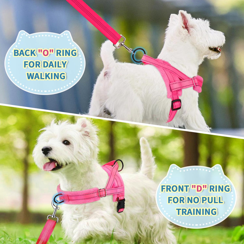 Lukovee back-ring leash attachment for versatile control.