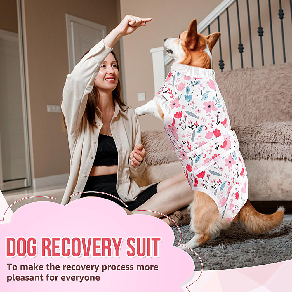 Lukovee breathable recovery suit keeps pets calm and comfortable.