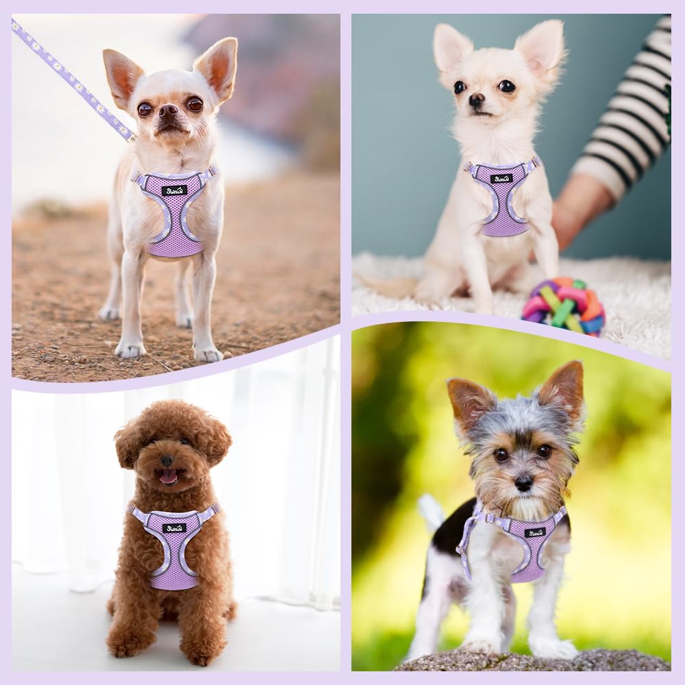 Lukovee daily walk and training setup for small dogs