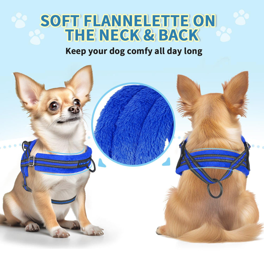 Lukovee front strap with D-ring demonstrating controlled walking and training support