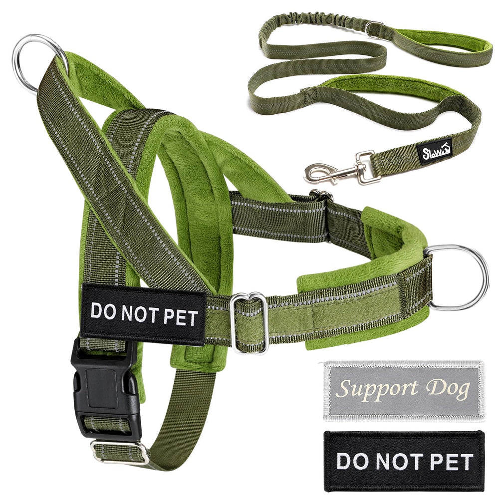 Lukovee Green harness and leash set for medium to large dogs.