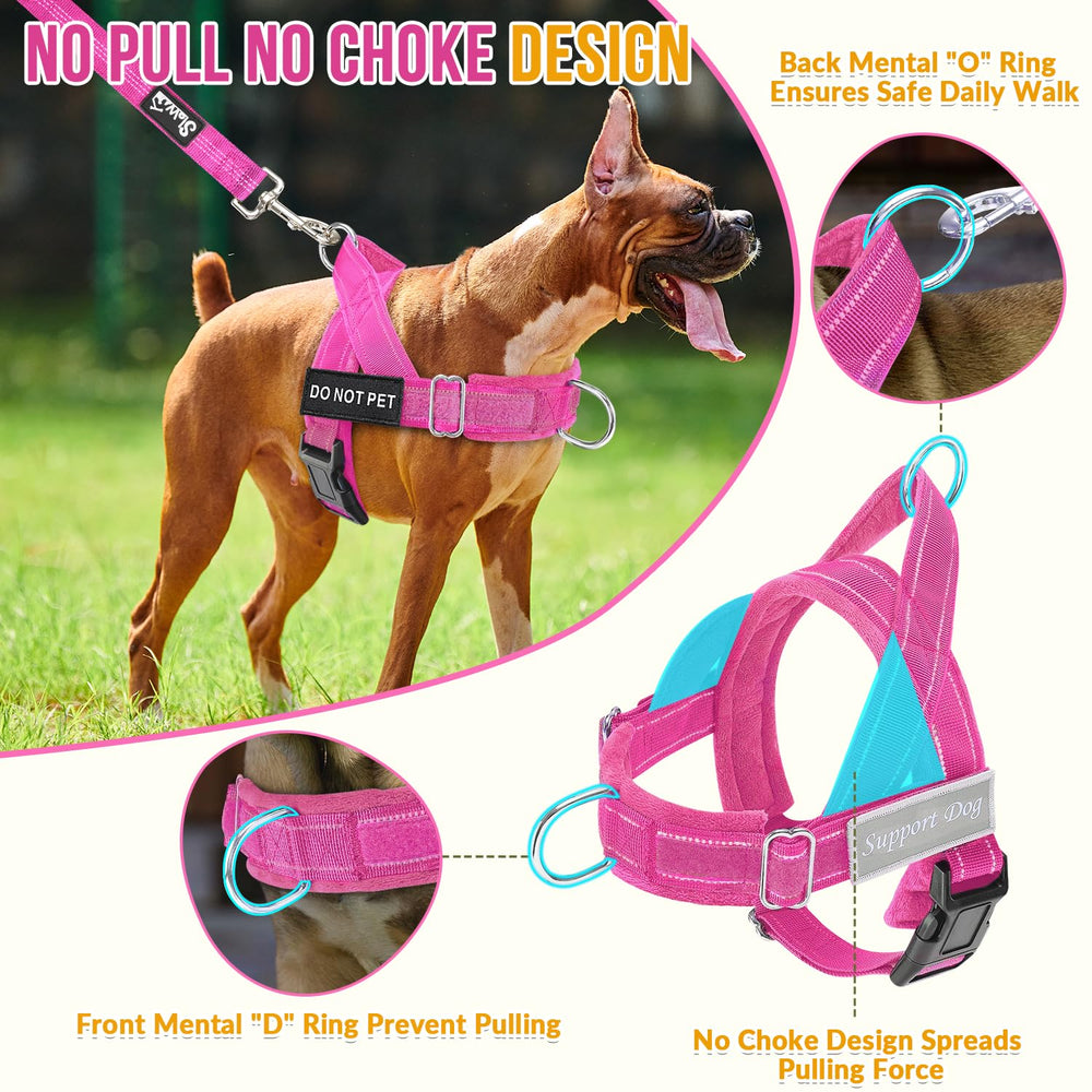 Lukovee harness back D-ring guides direction during walks.