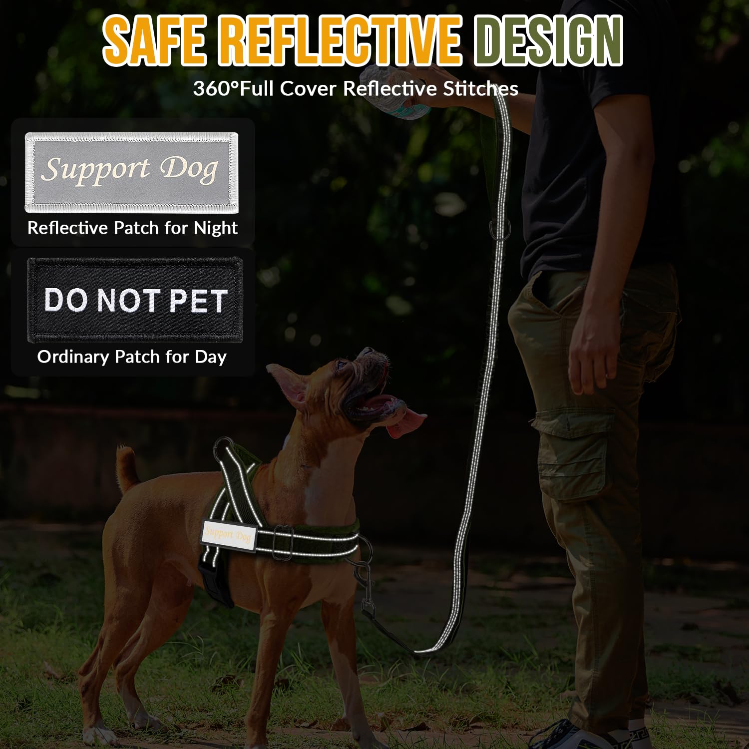 Lukovee Harness with reflective strips boosts visibility during night walks.