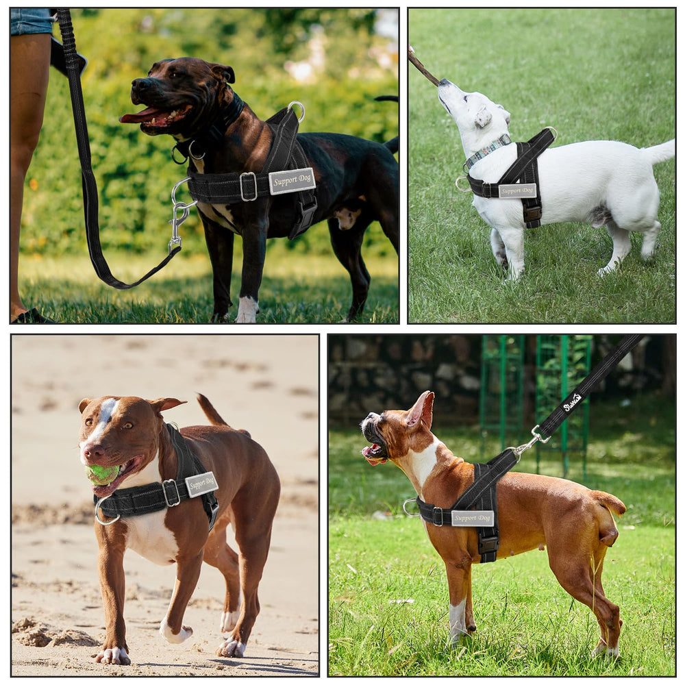 Lukovee Leash center handle for easy control in crowds