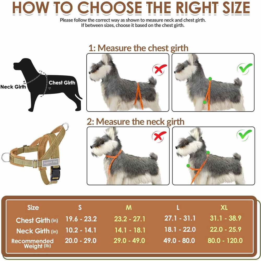 Lukovee leash with double handles and elastic band for comfort