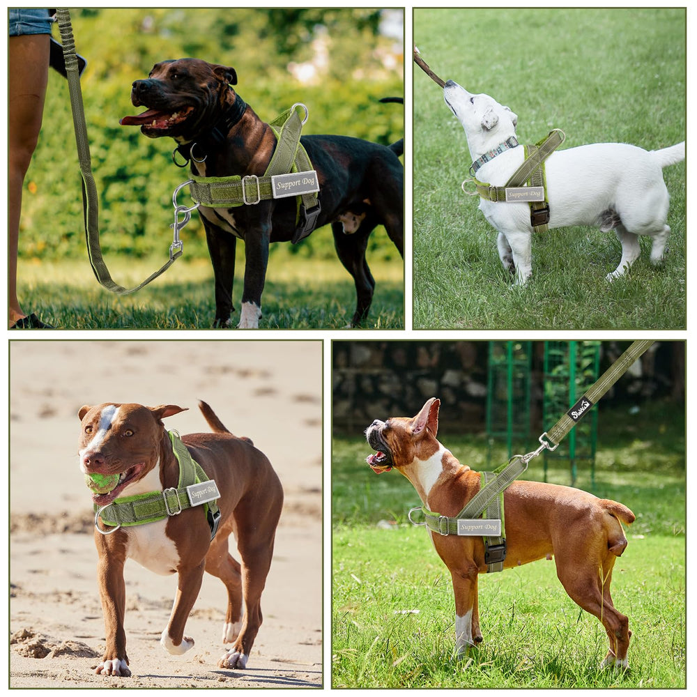 Lukovee No Pull Harness 360° swivel prevents tangles during walks