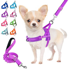 Lukovee no pull harness with padded straps for comfortable daily walks