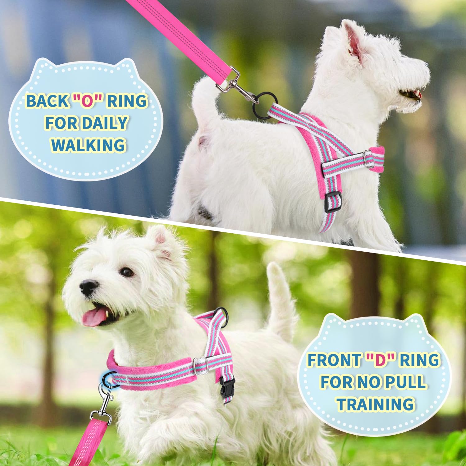 Lukovee reflective straps enhance safety during night walks