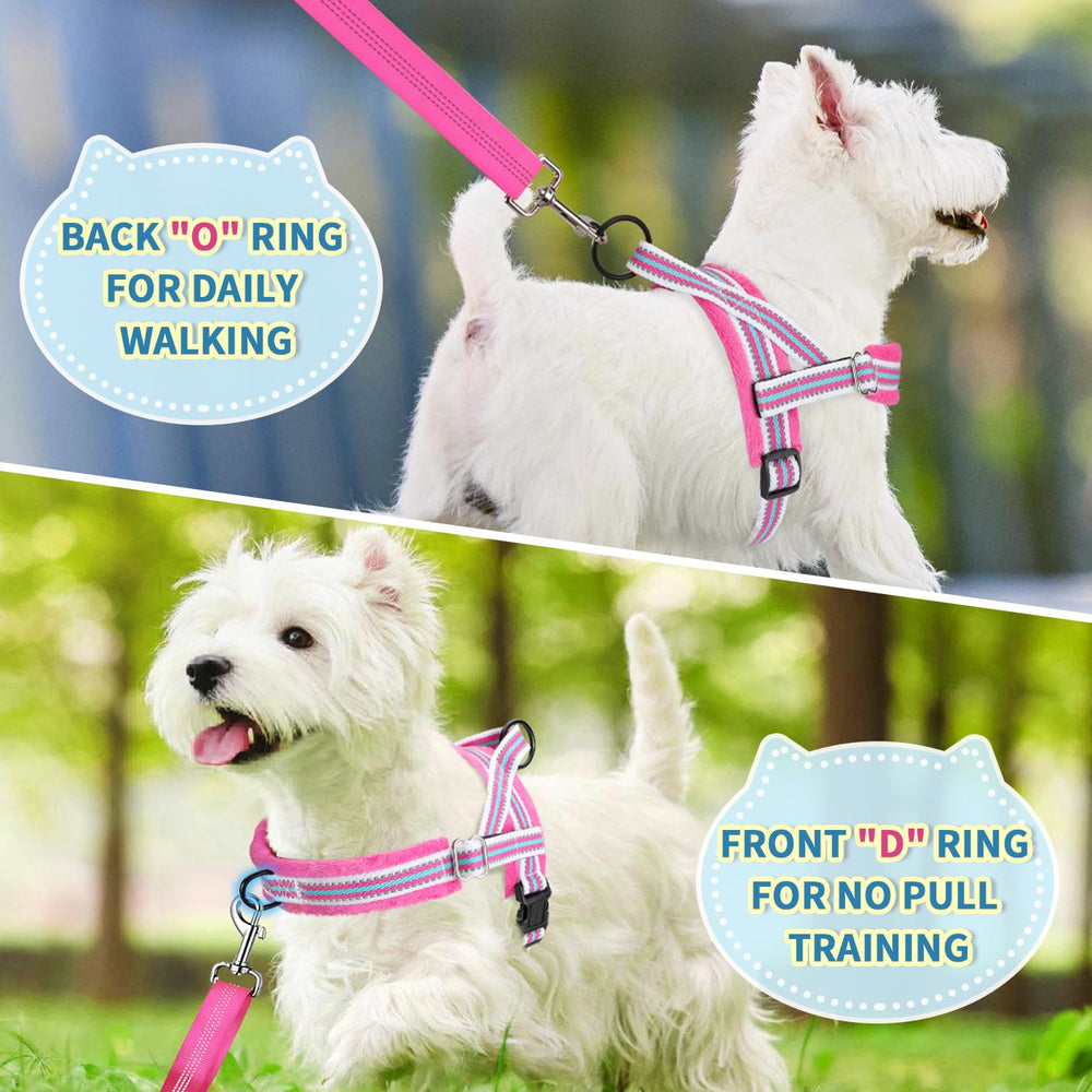 Lukovee reflective straps enhance safety during night walks