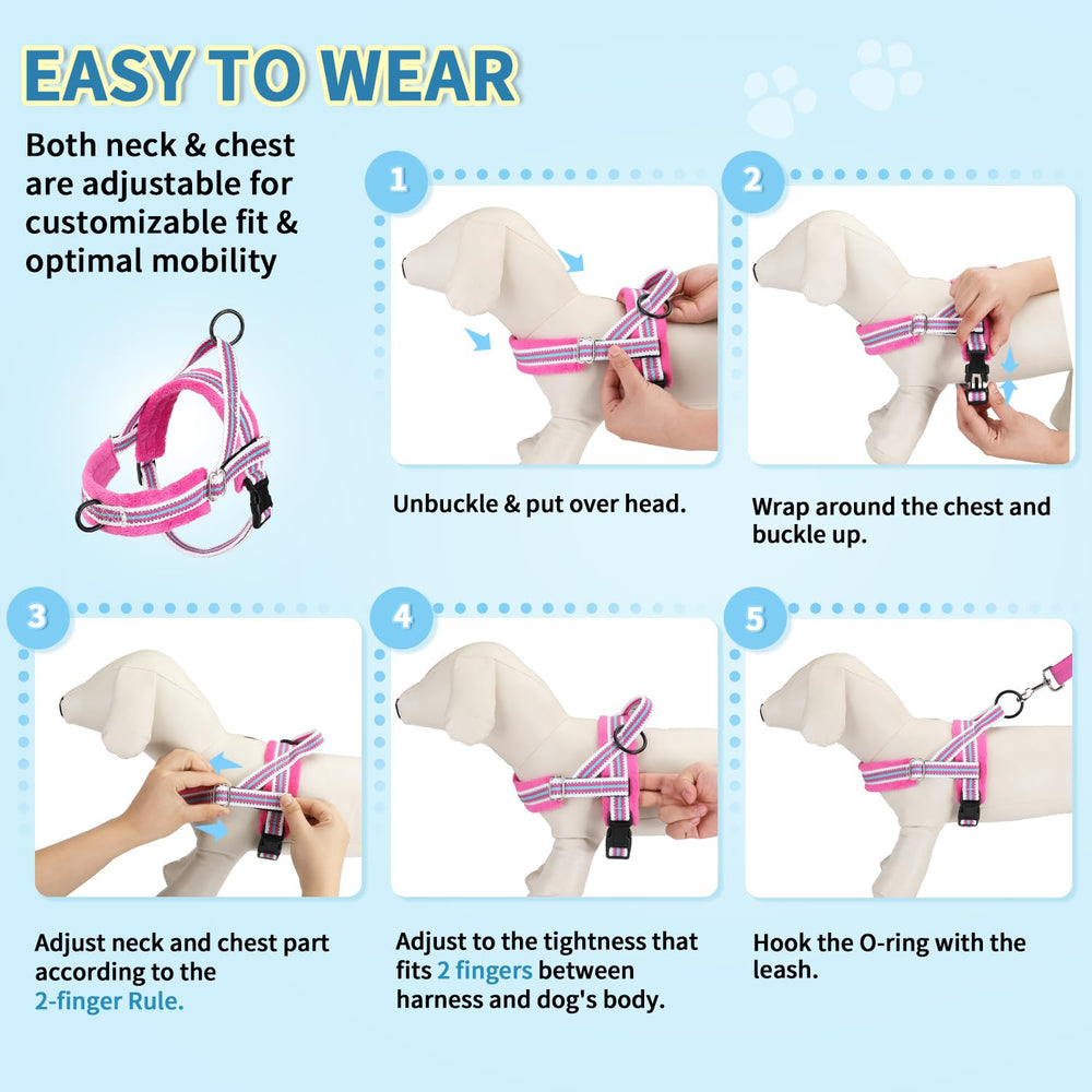 Lukovee No Pull harness shown in compact XS size set
