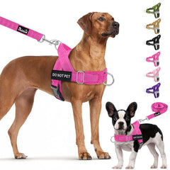 Lukovee no-pull harness with soft padding for comfortable daily walks.