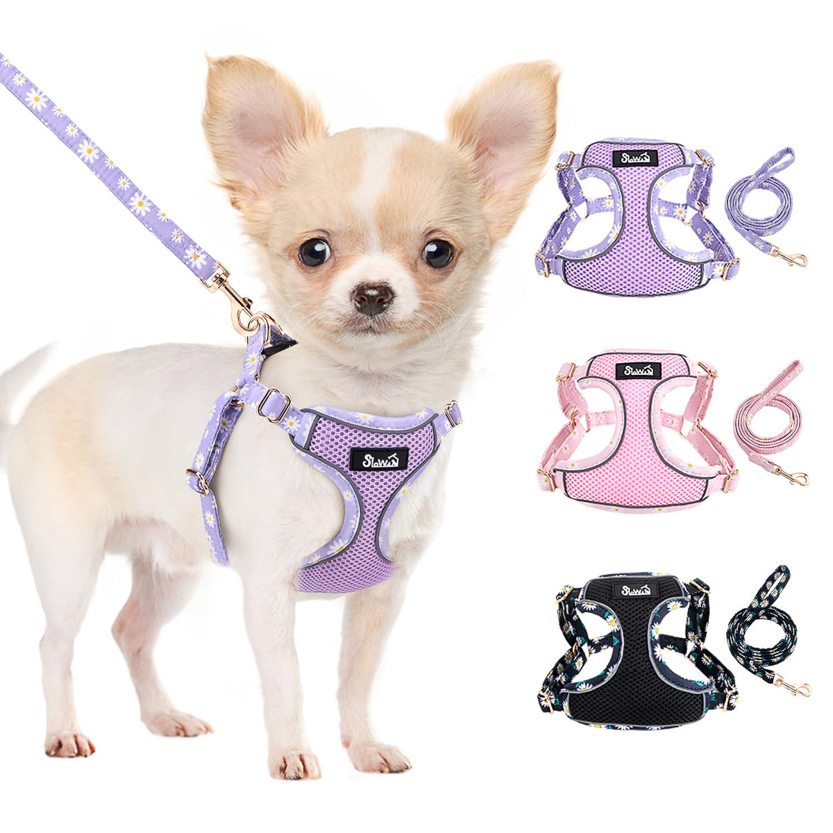 Lukovee No Pull Puppy Harness XXS on a small dog, ultra-light comfort for walks