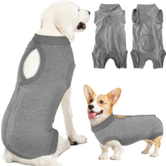 Lukovee recovery suit for dogs — back-fit view showing secure, comfortable design.