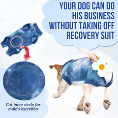 Lukovee dog onesie prevents licking and scratching of wounds during recovery.