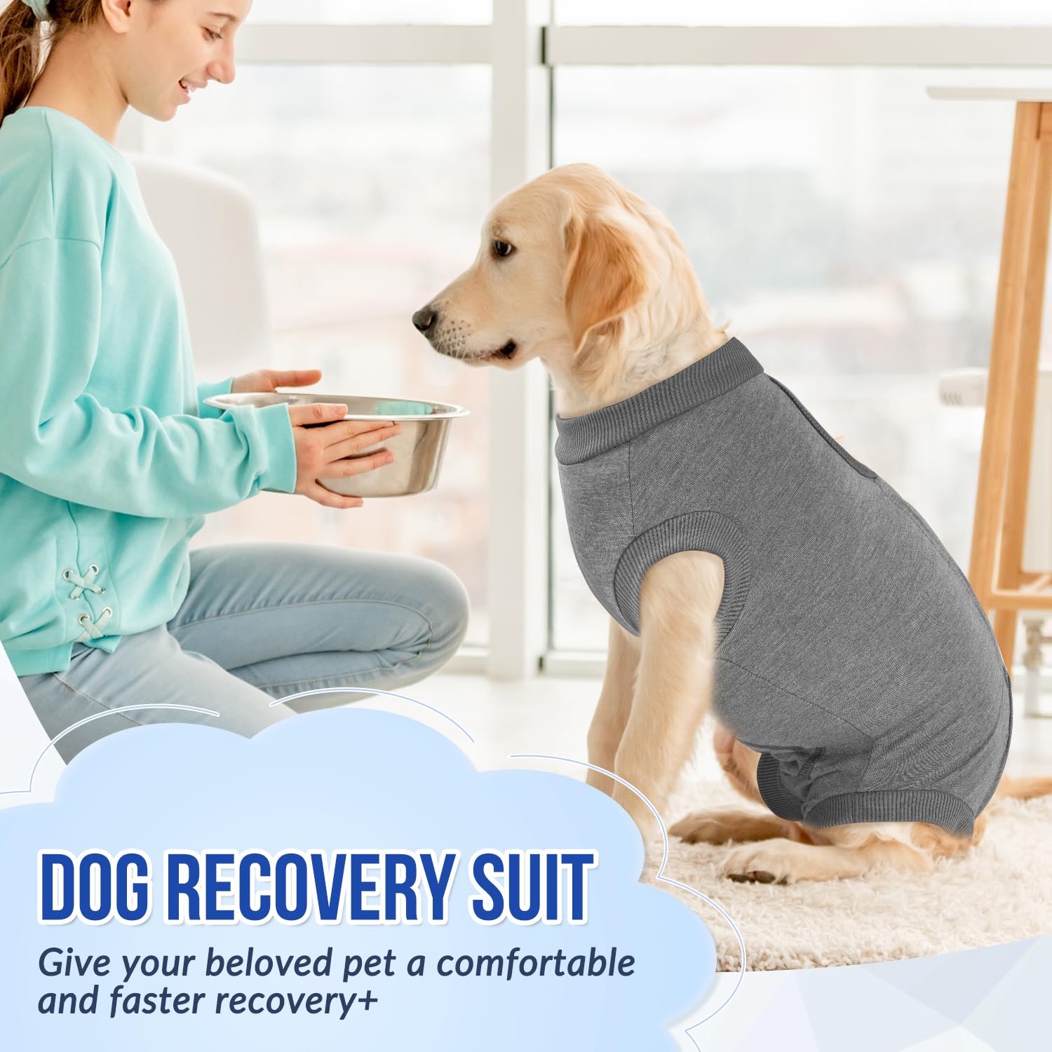 Ideal for post-surgery or spay recovery with gentle coverage.