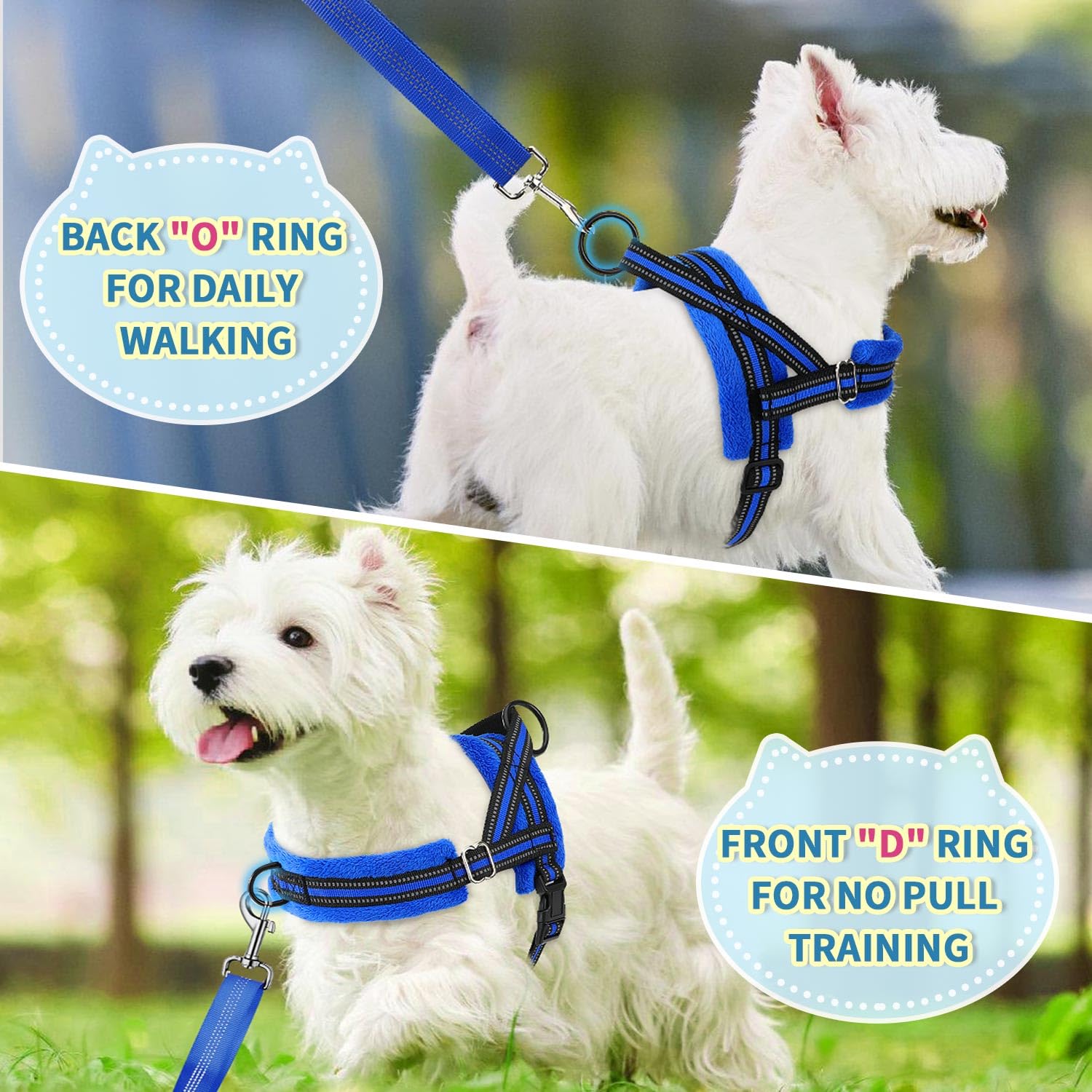 Reflective straps on Lukovee blue harness for nighttime visibility.
