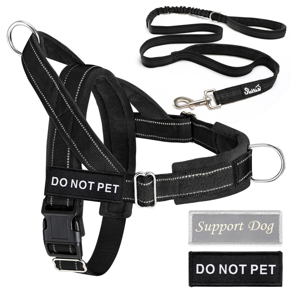 Lukovee reflective strips on harness and leash boost night safety.