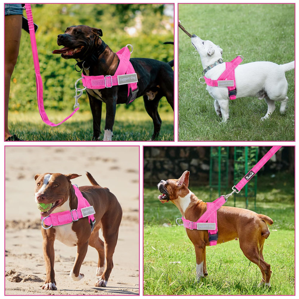 Lukovee leash with two padded handles for control.
