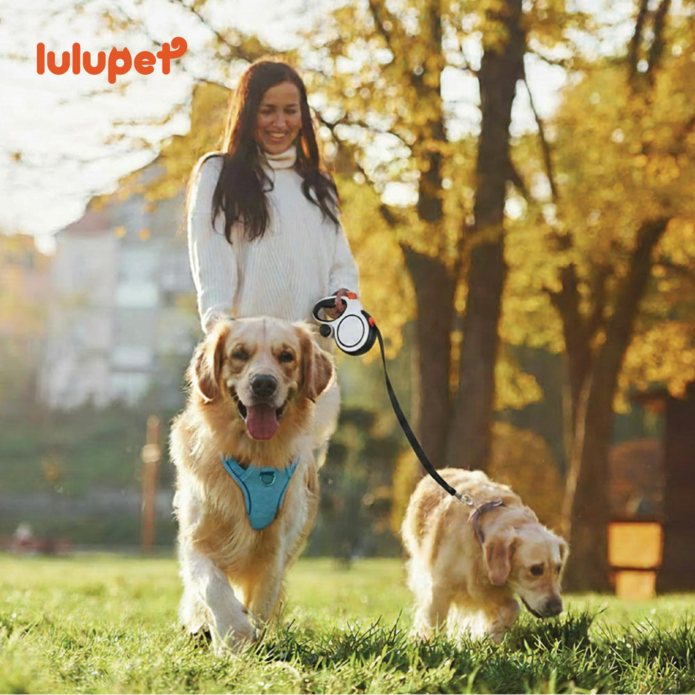 LULUPET adjustable fit suits puppies to adults for comfort