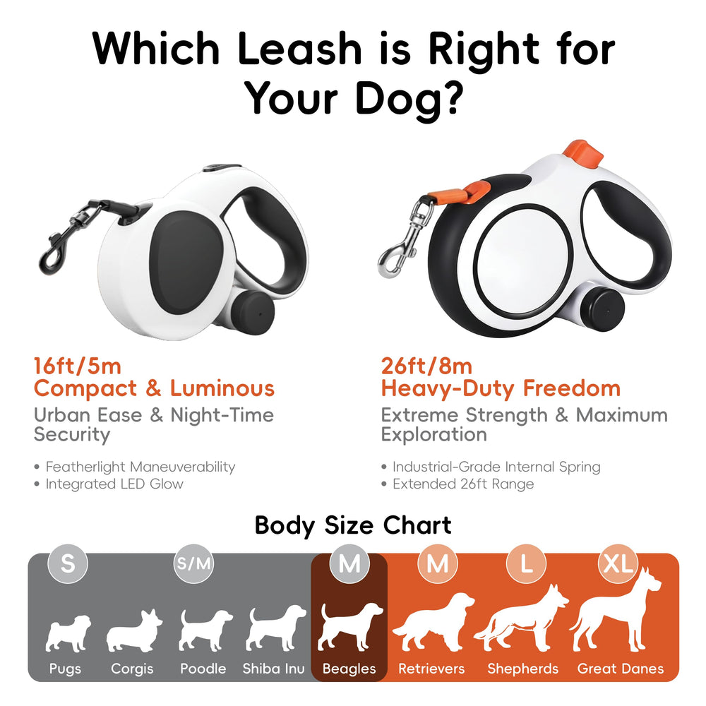 LULUPET all-weather leash designed to perform in rain or sun