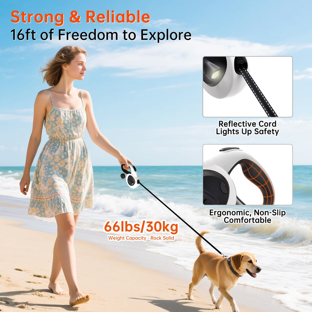 LULUPET heavy-duty leash for dogs up to 66 lbs supports confident daily walks.