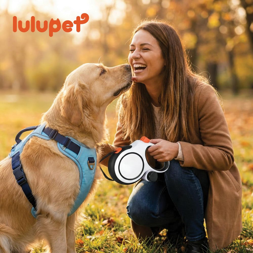 LULUPET park and hike ready leash for outdoor adventures