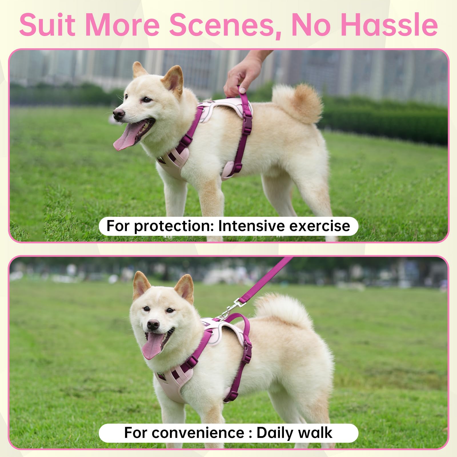 LULUPET pink harness overview of the 3-in-1 set including leash and collar