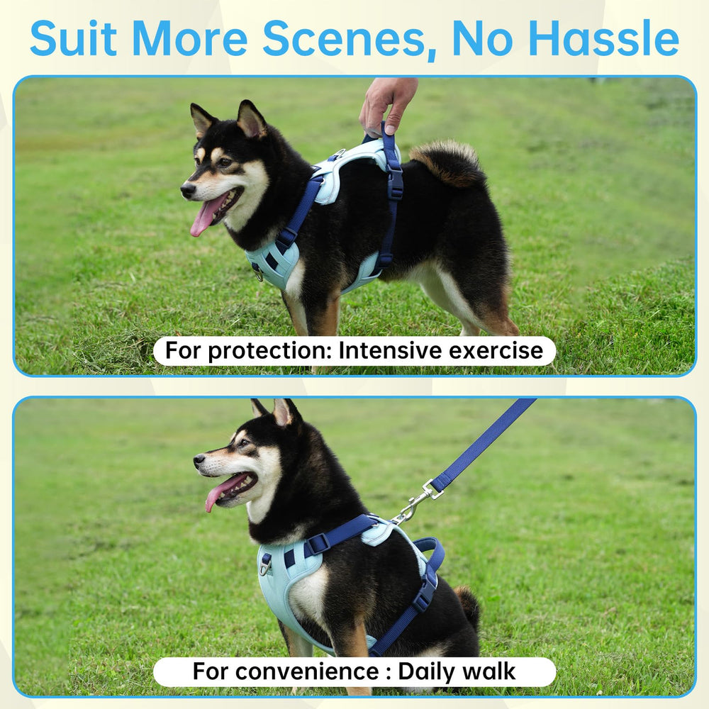 LULUPET quick-release buckle enables easy on/off