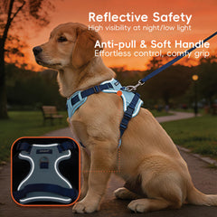 LULUPET reflective strips boost night visibility during walks