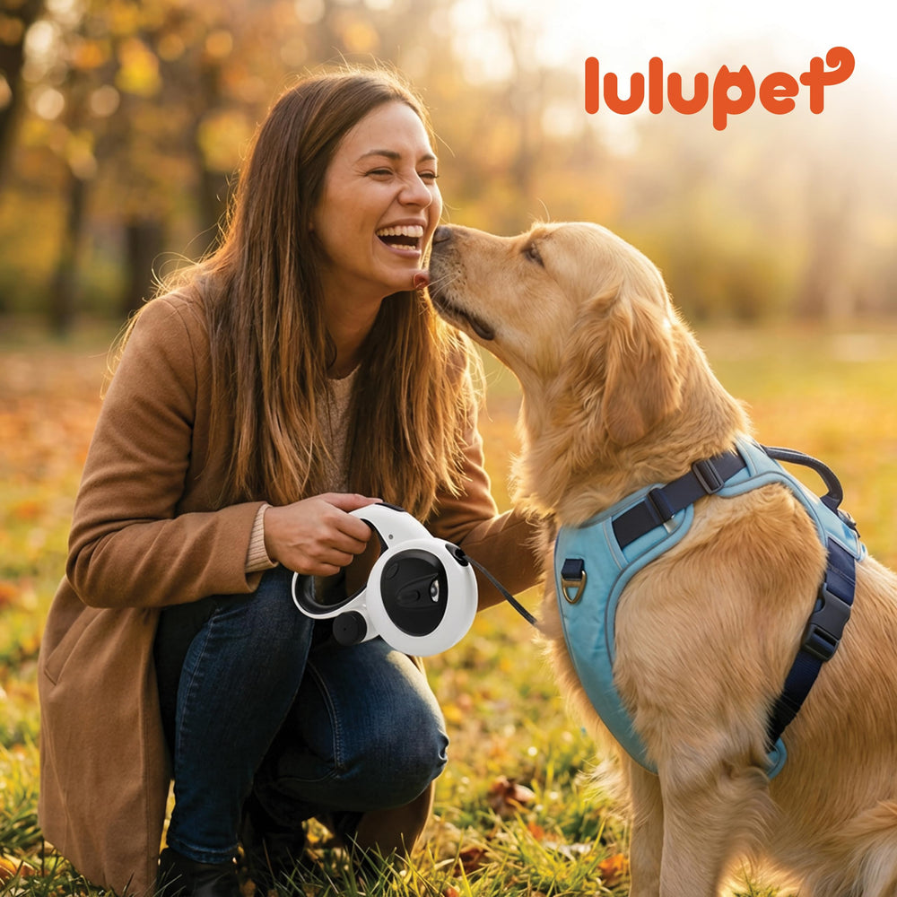 LULUPET retractable leash in action demonstrates smooth extension and secure retraction.
