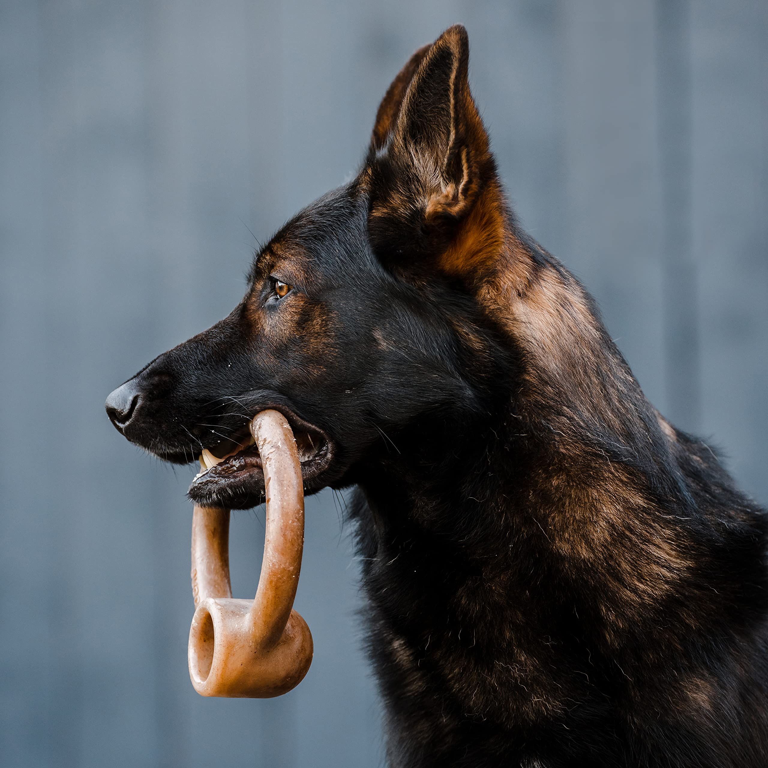 Lumabone Ring Stuffer bacon flavor with peanut butter pocket for extra stimulation