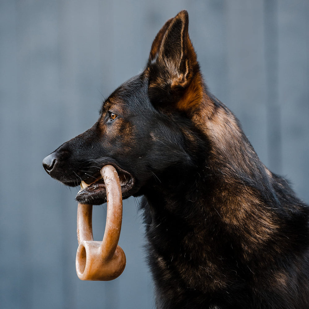Lumabone Ring Stuffer bacon flavor with peanut butter pocket for extra stimulation