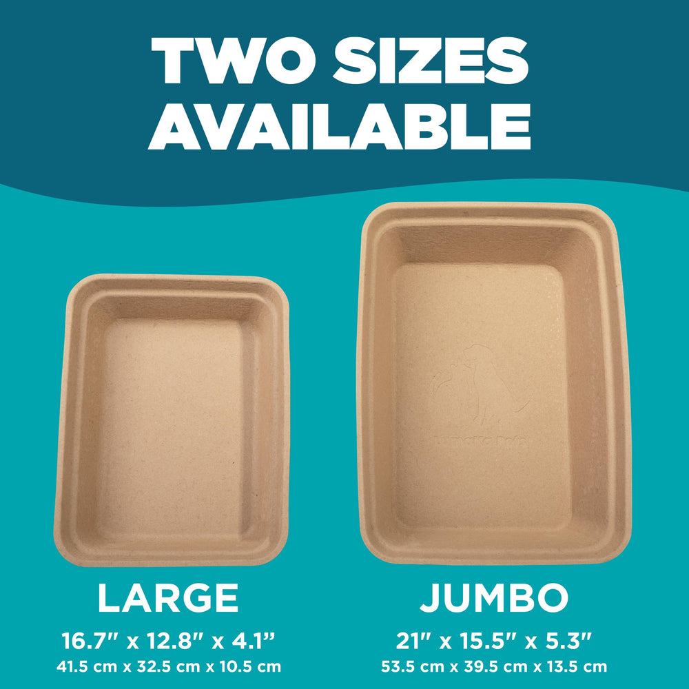 LumaKa Pets packaging emphasizes cardboard, plastic-free design.
