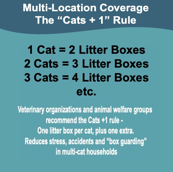 LumaKa Pets box – no scrubbing required for easy cleanup.