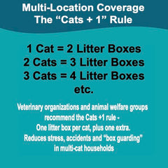 LumaKa Pets box – no scrubbing required for easy cleanup.