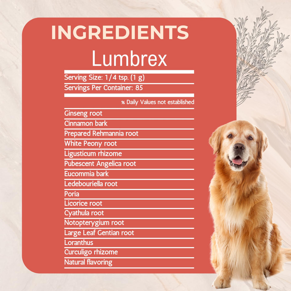 Close-up of Lumbrex powder highlights organic herbal extract for joint comfort.