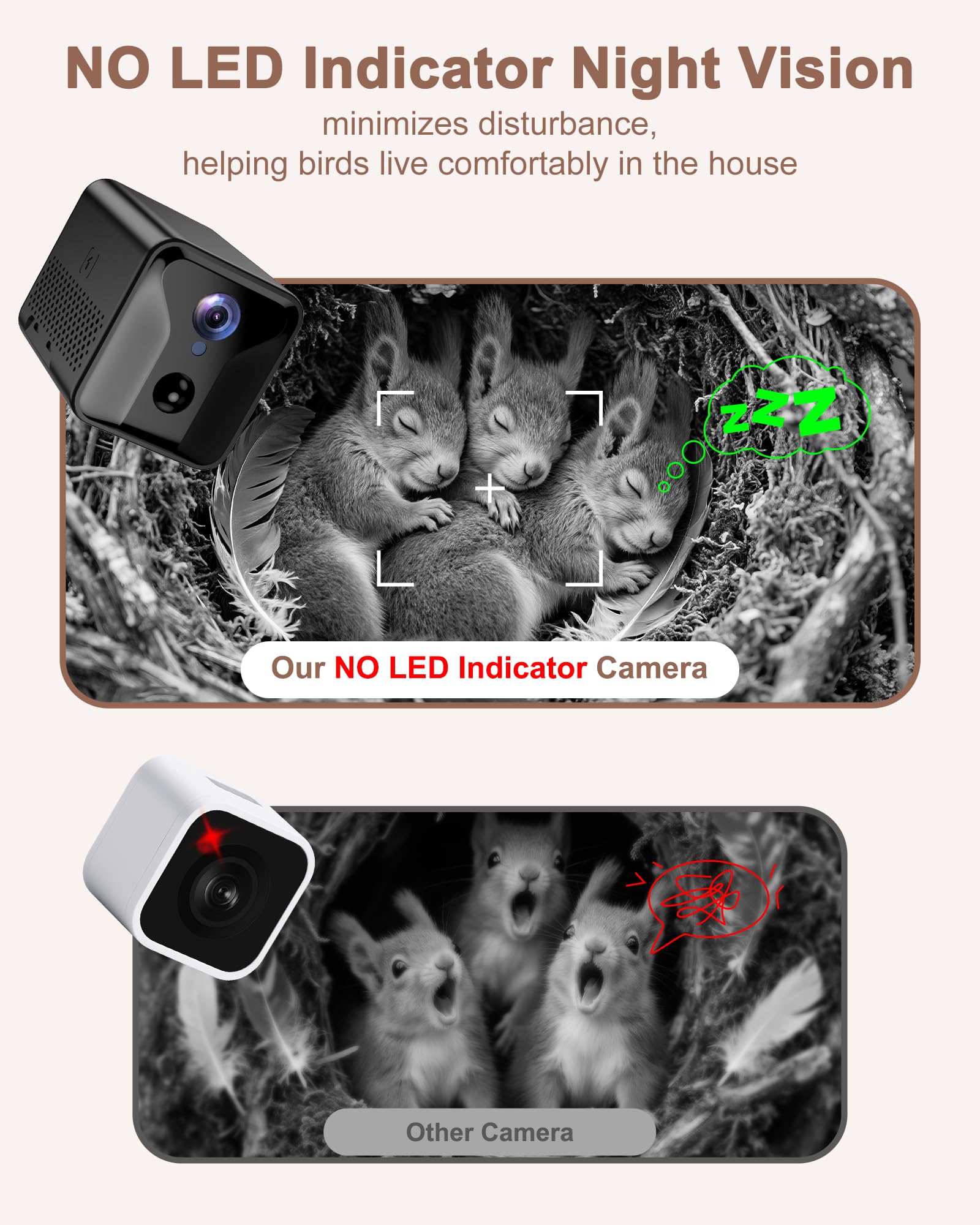 LuminiCam night vision view capturing squirrels after dark.