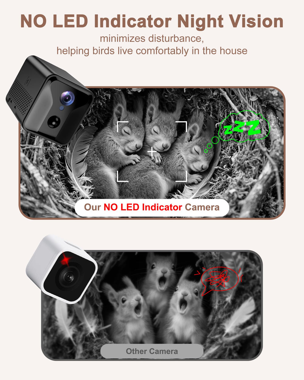 LuminiCam night vision view capturing squirrels after dark.