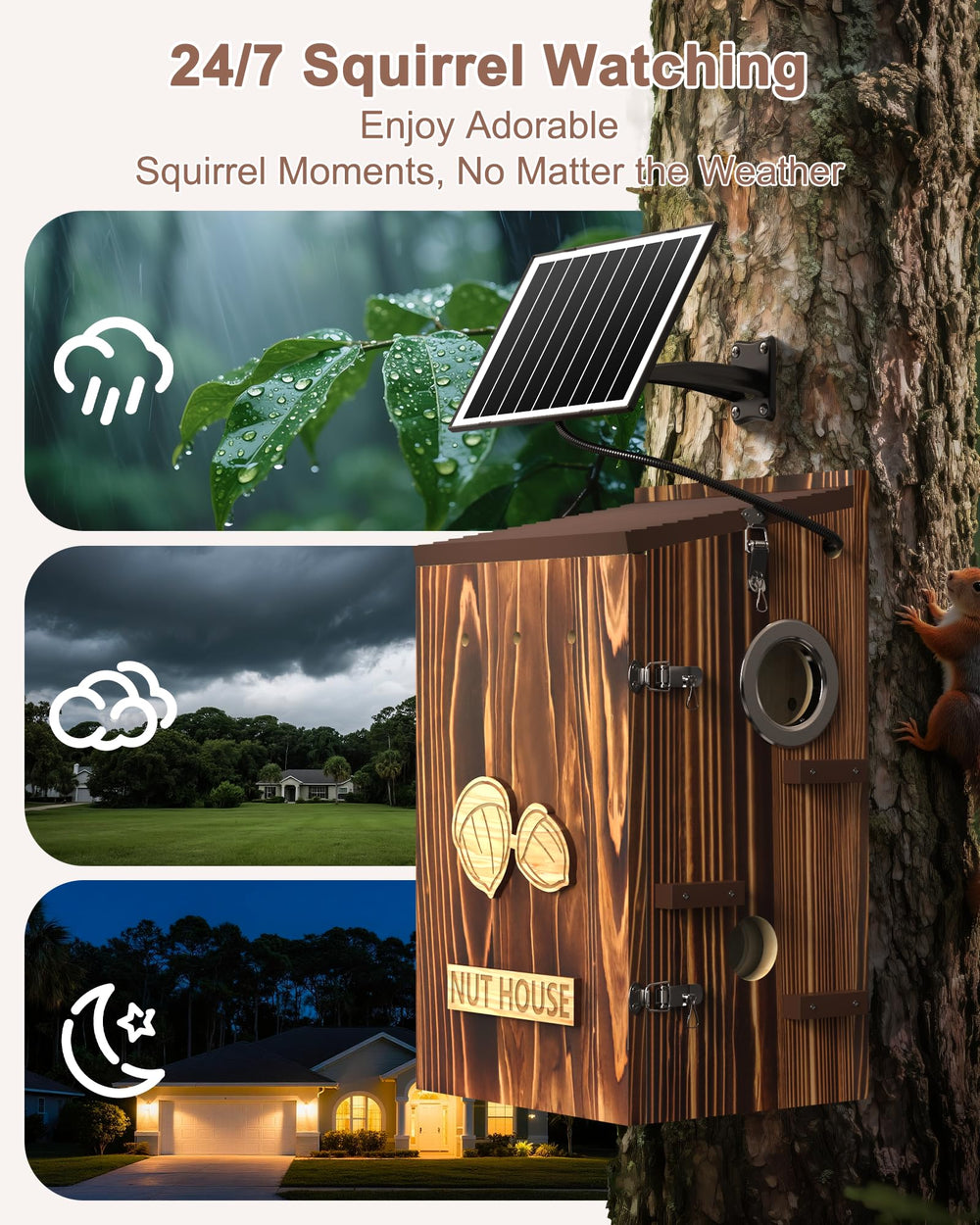 LuminiCam weatherproof wooden nesting box in garden.